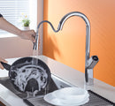 DG11157	Swan Series PulLout Kitchen Faucet