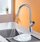 DG11157	Swan Series PulLout Kitchen Faucet
