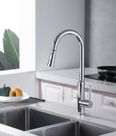 DG16057 Coconut Series PulLOut   Kitchen Faucet