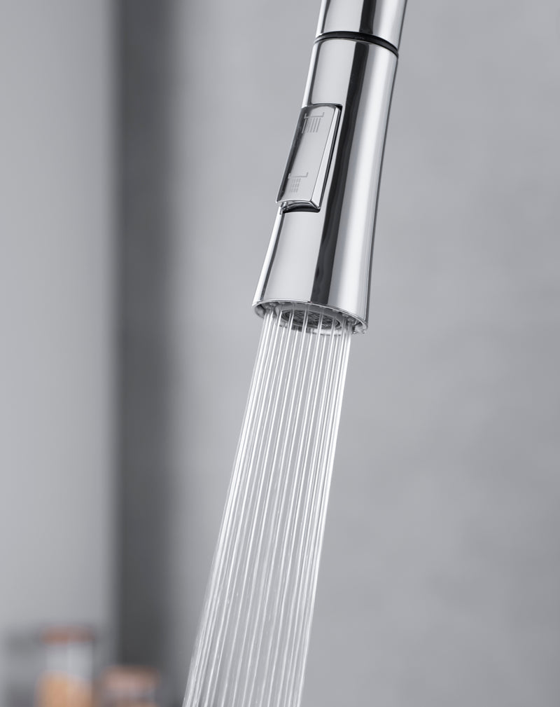 DG16057 Coconut Series PulLOut   Kitchen Faucet