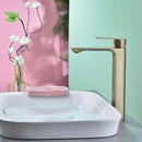 DG01110 A6 Series Basin Mixer Short