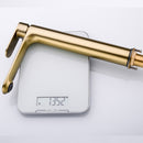 DG01211 Little Moon Series Basin Mixer Tall