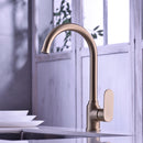 DG01250 Little Moon Series Kitchen Faucet