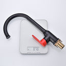 DG01250 Little Moon Series Kitchen Faucet