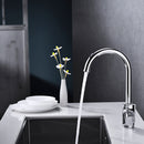 DG06550 Extreme Series Kitchen Faucet
