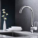 DG06550 Extreme Series Kitchen Faucet