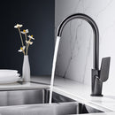 DG08950 Arcing Series Kitchen Faucet