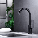 DG08950 Arcing Series Kitchen Faucet