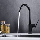 DG08950 Arcing Series Kitchen Faucet