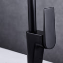 DG08950 Arcing Series Kitchen Faucet