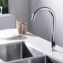 DG09350 Skateboard Series Kitchen Faucet