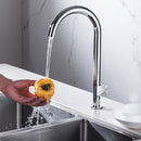 DG09350 Skateboard Series Kitchen Faucet