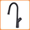 DG11157	Swan Series PulLout Kitchen Faucet