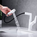 DG12259 Pull out/kitchen faucets with pull down sprayer