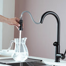 DG16057-S Coconut Series Pull-Out Kitchen Faucet