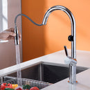 DG20957 Borbeaux Series PulLout Kitchen Faucet