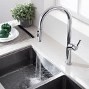 DG21057-1 Coral Series Pull-Out Kitchen Faucet