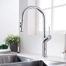 DG21057-1 Coral Series Pull-Out Kitchen Faucet