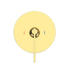 DGA01100 T-shaped concealed installation-two functions-stainless steel shower