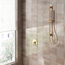DGA01100 T-shaped concealed installation-two functions-stainless steel shower