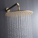 DGA01304 T-shaped concealed installation-two functions-stainless steel shower