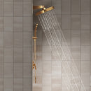 DGA 05600 T-type concealed installation-three functions-stainless steel shower